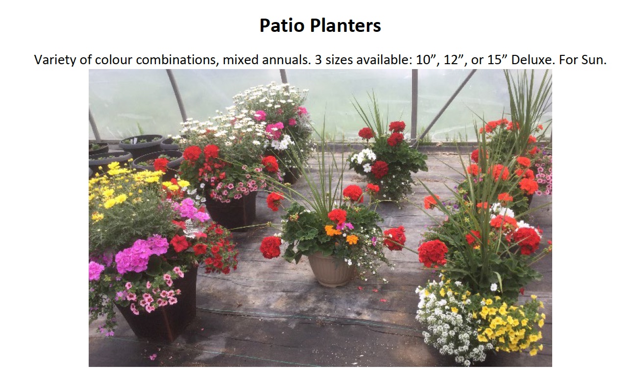 Sebringville garden centre patio planters