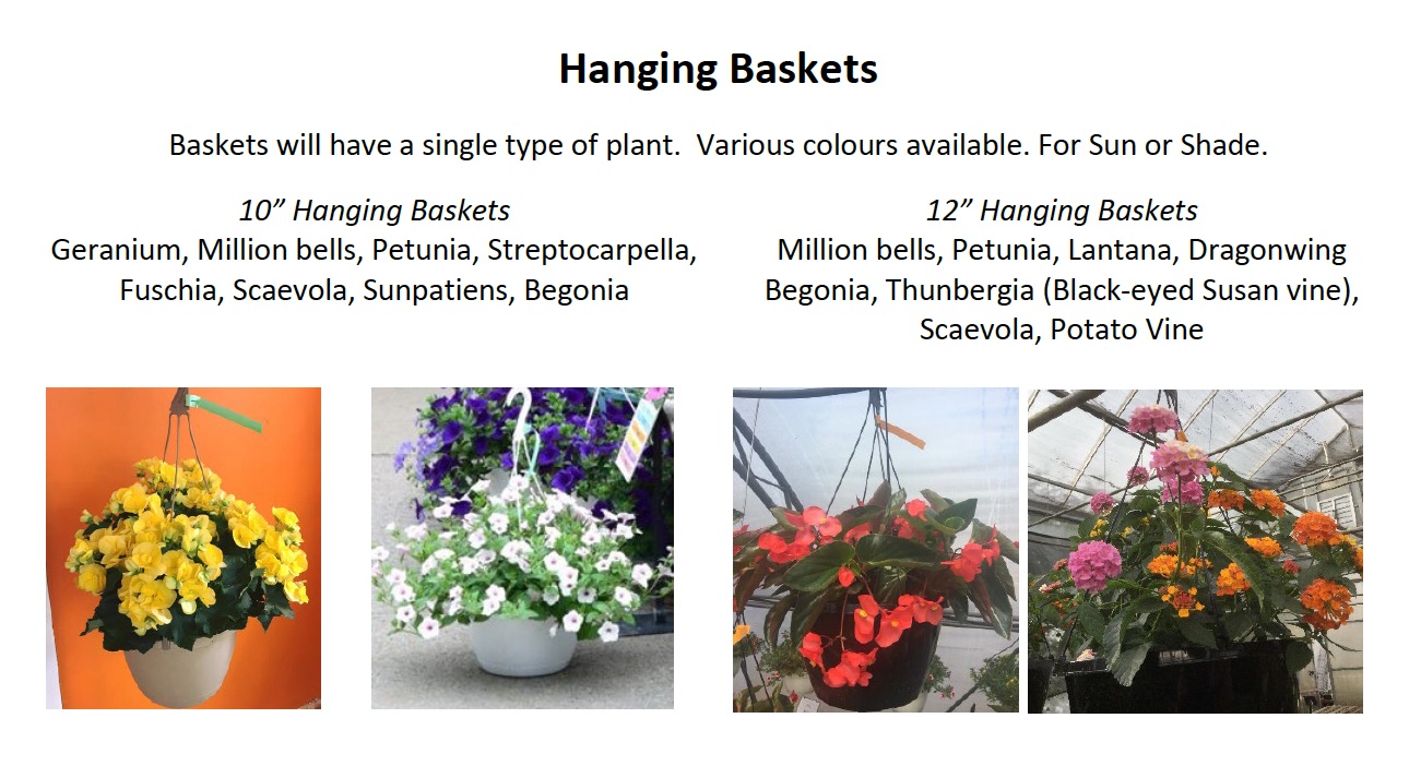 Sebringville garden centre hanging baskets